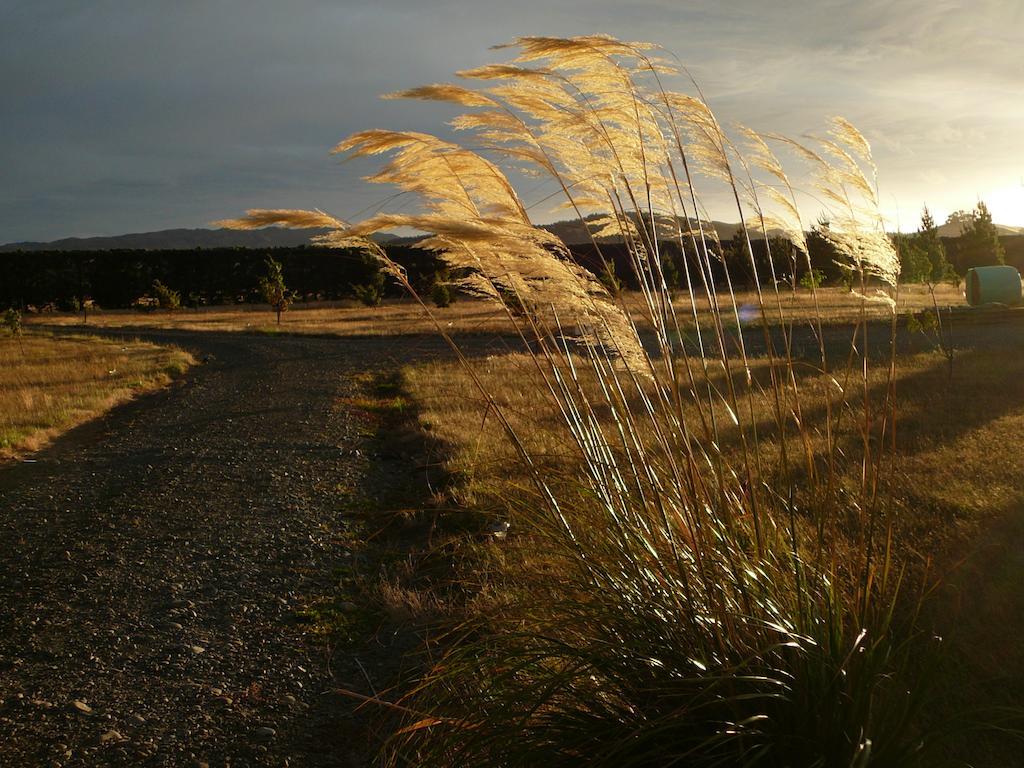 Bentleys Country Stay Hawarden Exteriér fotografie